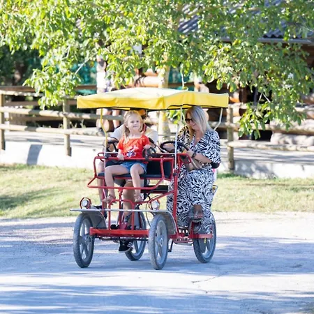 Camping Accueillant Animaux - 8 Pers. - Api-1-52-2546 Dienné